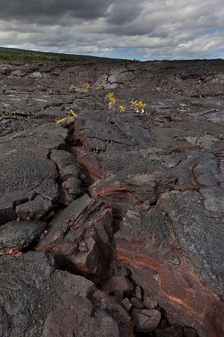 039 Big Island, Hilo, Kaimu Black Sand Beach.jpg